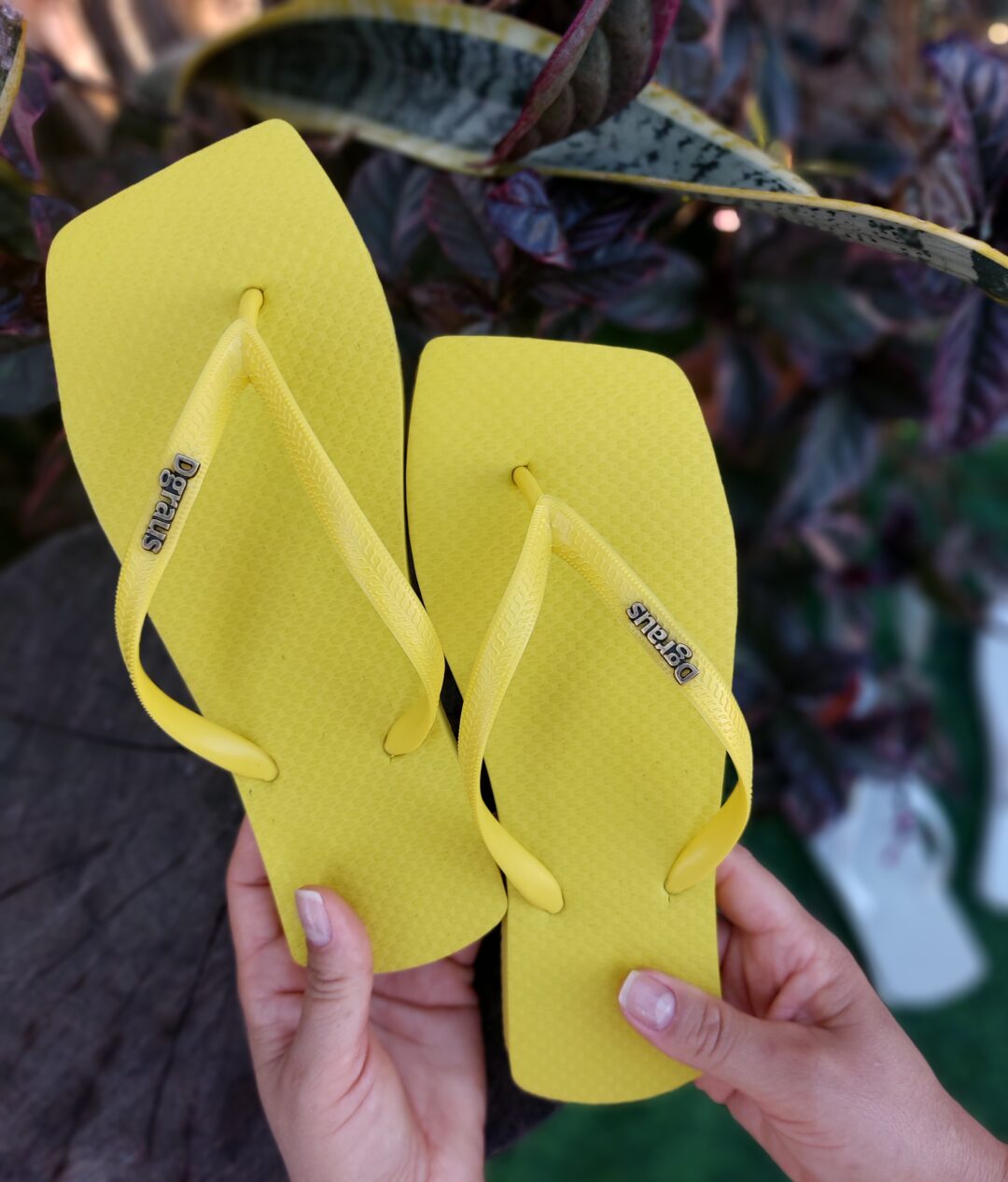 Chinelo Dgraus Japonesa Amarelo. (Premium)